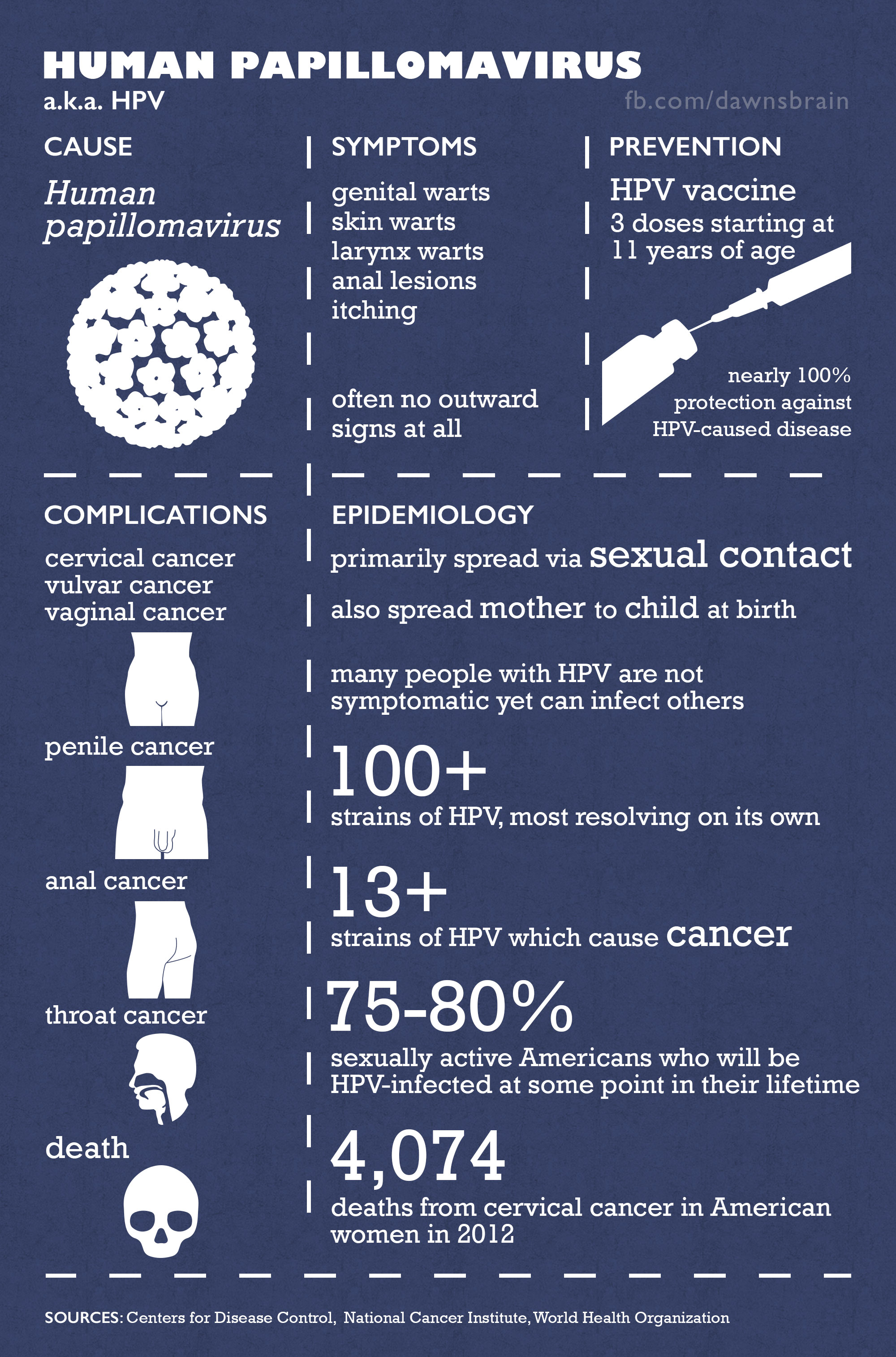 HPV and Anal Cancer - Philadelphia FIGHT