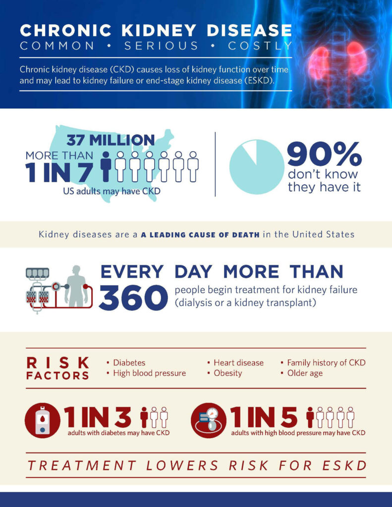 kidney infographic